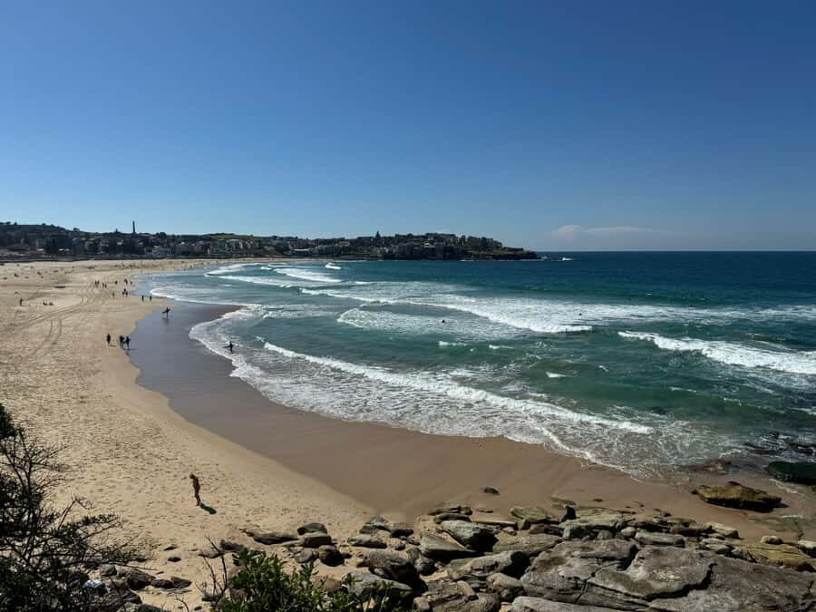 1/2 day Sydney Sightseeing and Bondi Beach Tour - Mrs. Macquarie’s Chair and the photo-and-views rhythm