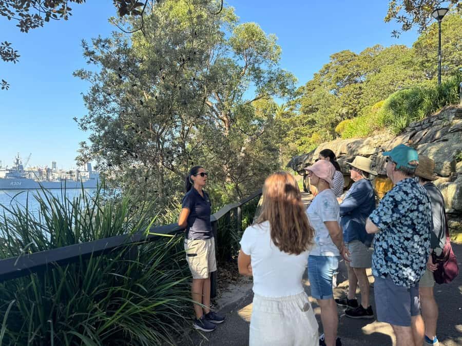 1/2 day Sydney Sightseeing and Bondi Beach Tour - Bondi Beach with one hour of freedom: how to use it best
