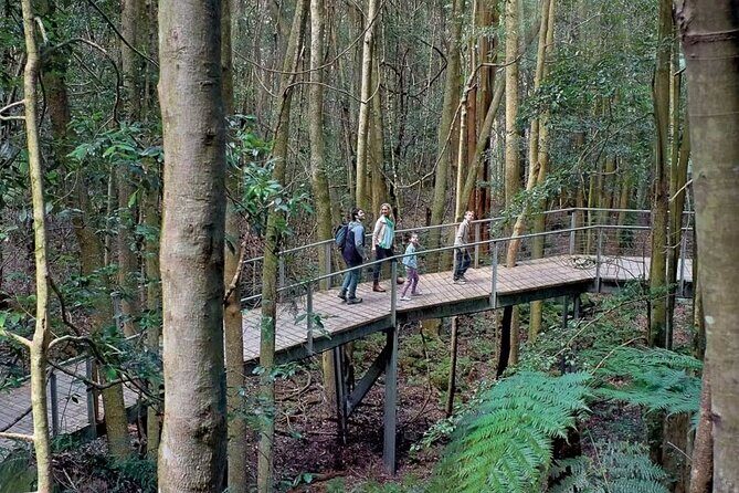 3 Day Private Tour in Blue Mountains and Kiama in Sydney City - Vehicles, pickup, and how the days actually flow