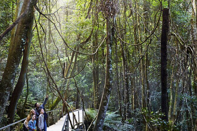 3 Day Private Tour in Blue Mountains and Kiama in Sydney City - Featherdale Wildlife Park: the Australian animals break you’ll actually remember