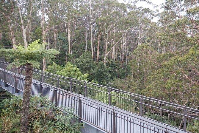 3 Day Scenic Tour of Blue Mountains from Sydney - Day 3: Govetts Leap, Zig Zag Railway, Hartley, and the Botanic Garden