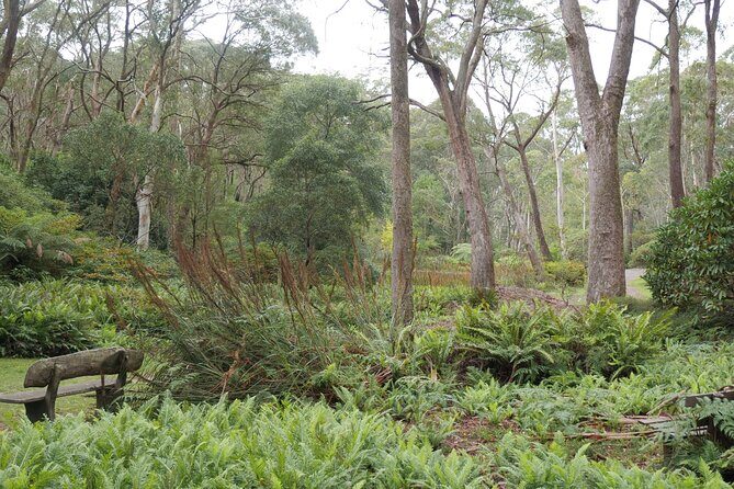 3 Day Scenic Tour of Blue Mountains from Sydney - The guide factor: why Jamie’s approach matters on this route