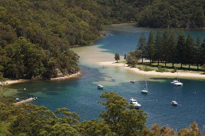 3-Hour Private Skippered Sailing Yacht Charter in Palm Beach - Portuguese Beach: the clean-water anchor stop
