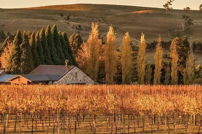 A Day In The Vineyards || Luxury Private Winery Tour From Sydney - Fitzroy Falls: A Forest Walk That Breaks Up the Wine Time