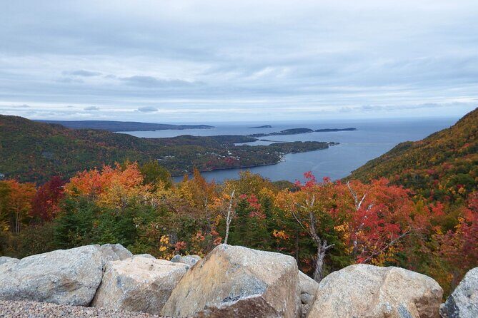 Blackwood Tours: 6 Hour Cabot Trail Tour in Cape Breton, NS - The Mini-Ferry Break: A Short Scenic Reset
