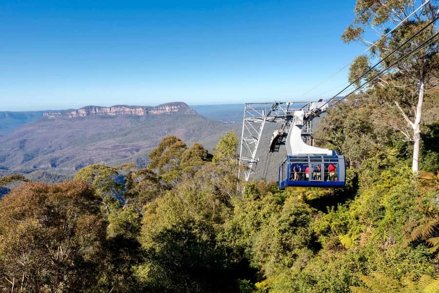 Blue Mountains Adventure: Scenic World, Zoo & Koala Photo - Why this Blue Mountains and Zoo day feels like a best-of sampler