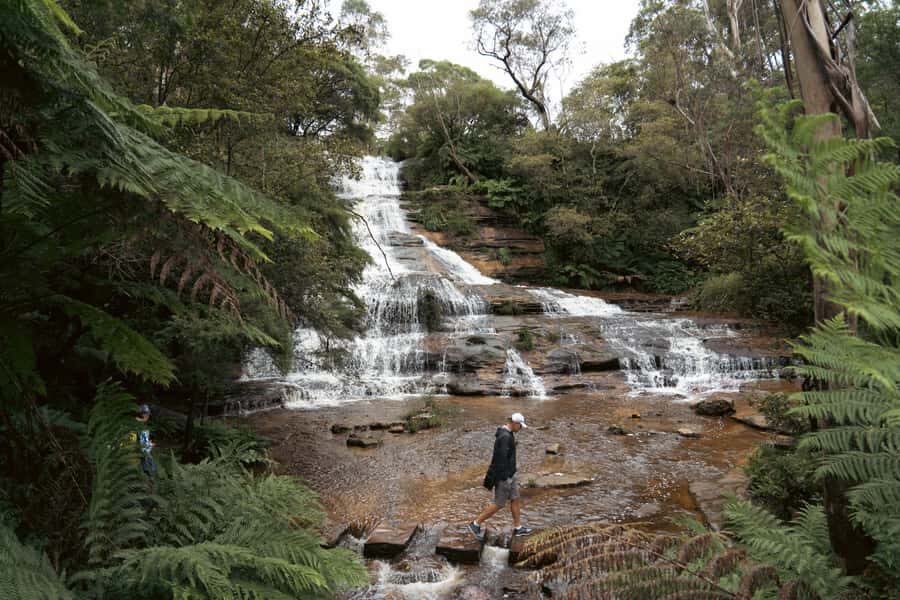 Blue Mountains Adventure: Scenic World, Zoo & Koala Photo - Scenic World rides: Scenic Railway, Skyway, and Gondola in one package