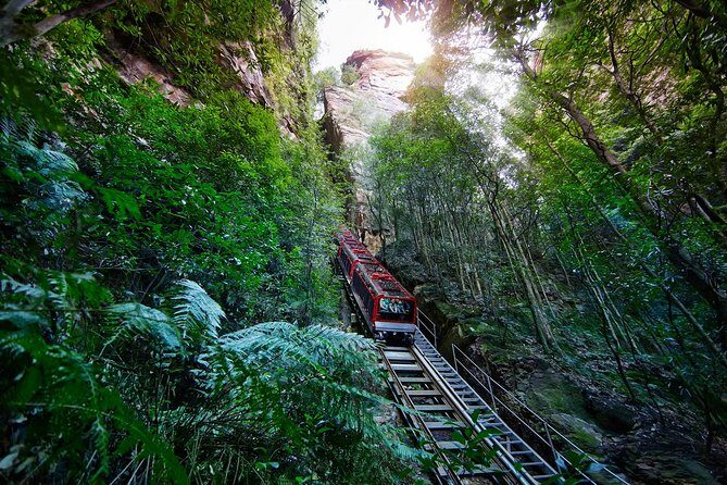 Blue Mountains Day Tour Including Parramatta River Cruise - Key things that make this tour work well
