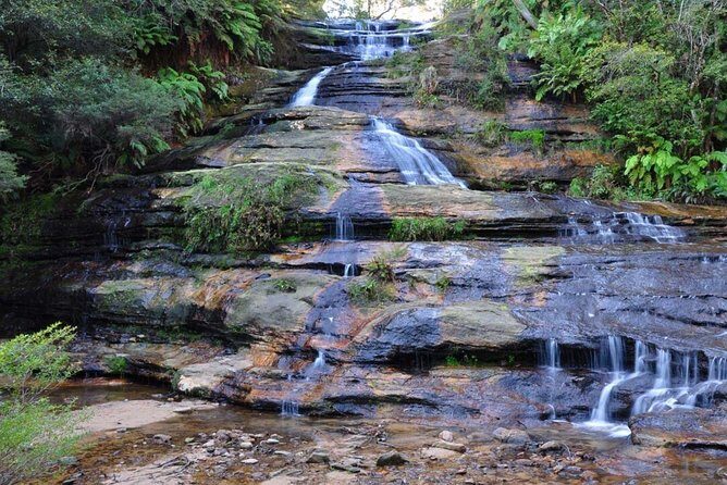 Blue Mountains Day Tour :Wildlife, Waterfall Walk & Three Sisters - What $376.55 Buys You (and Why It Can Be Worth It)