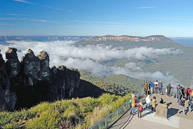 Blue Mountains | Koalas, Kangaroos & Bondi Beach Private Tour - Key Highlights Worth Planning Around