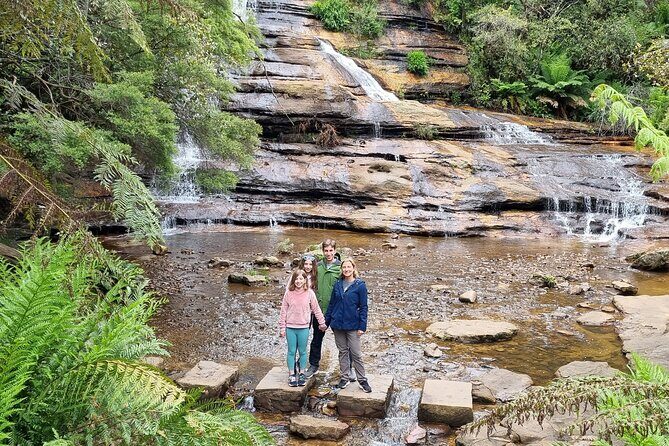 Blue Mountains | Koalas, Kangaroos & Bondi Beach Private Tour - Private Minivan Pickup: Getting Out of Sydney the Easy Way