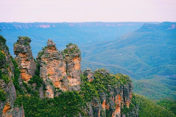 Blue Mountains | Koalas, Kangaroos & Bondi Beach Private Tour - Featherdale Sydney Wildlife Park: Koalas, Kangaroos, and Quokkas in One Hour
