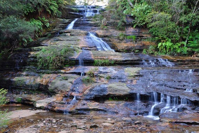 Blue Mountains | Koalas, Kangaroos & Bondi Beach Private Tour - Bondi Beach as a Short Coastal Finish