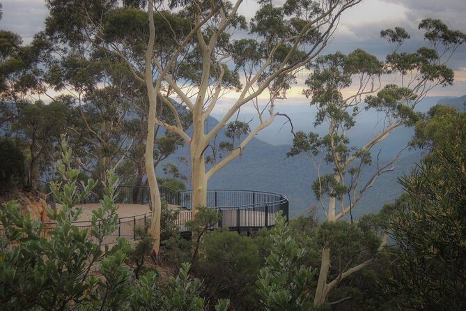 Blue Mountains Private Charter - A private Sydney-to-Blue-Mountains charter that keeps the schedule sane
