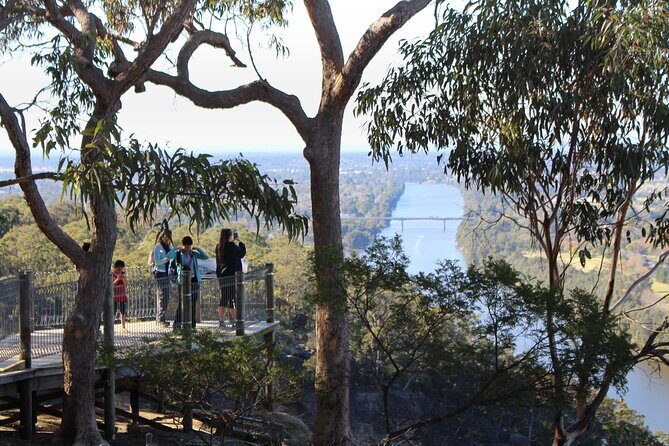 Blue Mountains Private Charter - Glenbrook National Park for koalas, kangaroos, and a bush walk