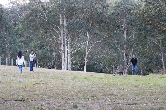 Blue Mountains Private Charter - Price and value: what $484.14 per person buys you