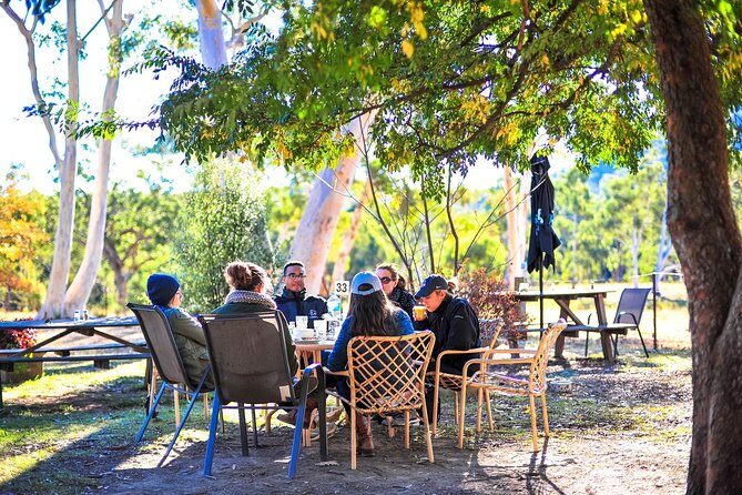 Blue Mountains Private Tour from Sydney - Featherdale Sydney Wildlife Park: the easiest way to spot kangaroos and koalas