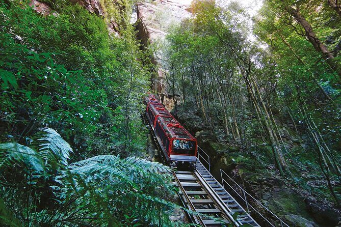 Blue Mountains Private Tour with Kangaroo and Koala Experience - Leura Mall: the one-hour town break that keeps the day human