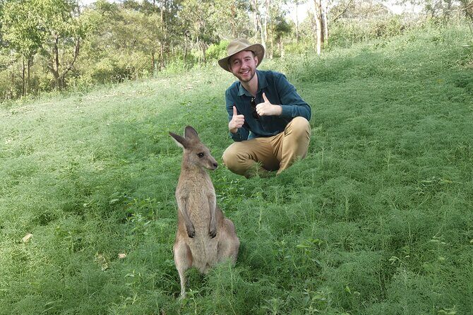 Blue Mountains Tour from Sydney with an Aboriginal Experience - Sydney Olympic Park on the Way Home