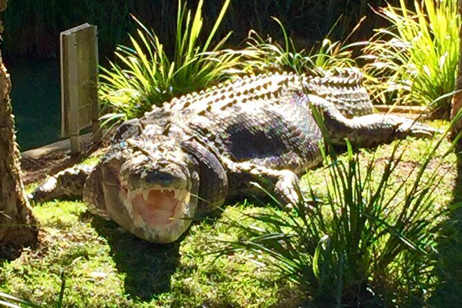 Central Coast Private Tour From Sydney, with Australian Reptile Park Option - Somersby Waterfalls: the calmer finale of the day’s nature break