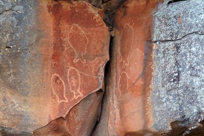 Cowan Creek Lunch paddle with Aboriginal rock art - Key highlights you’ll care about