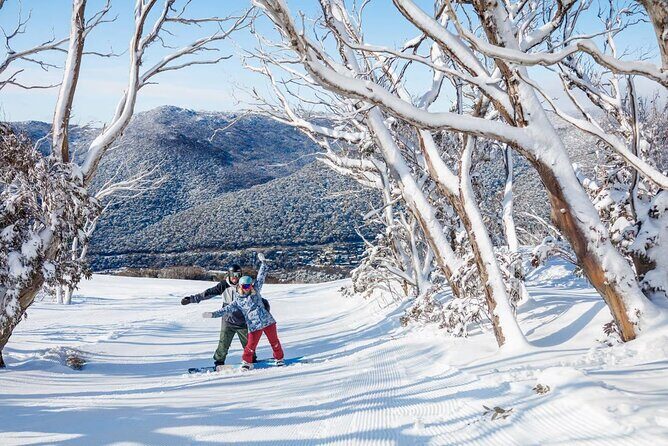 Day Trip To Snowy Mountains From Sydney - Price and value: is $716.53 per person worth it?
