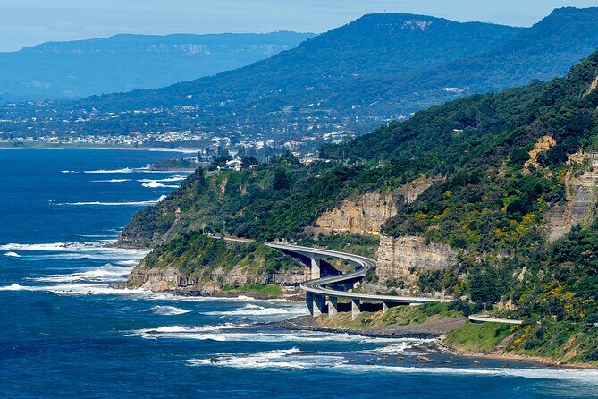 Escape Sydney: Sea Cliff Bridge, Wildlife, Kiama Coast Private - Key points to know before you go