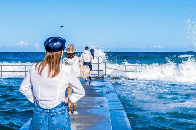 Escape Sydney: Sea Cliff Bridge, Wildlife, Kiama Coast Private - Getting picked up in Sydney (and why it matters)