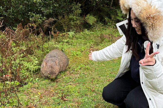 Escape Sydney: Sea Cliff Bridge, Wildlife, Kiama Coast Private - Aboriginal engravings and bush-side learning