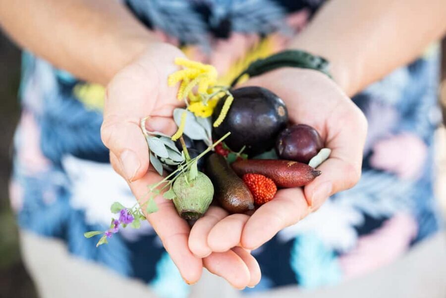 Foraging Food Tour Sydney Native Aussie Food - A Short Sydney Native Food Foraging Walk With Big-View Payoff