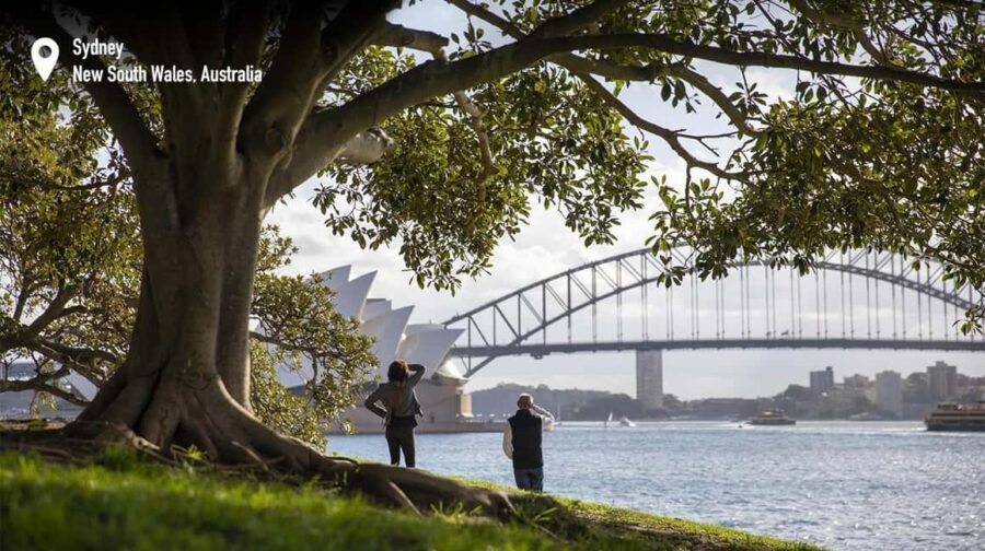 Foraging Food Tour Sydney Native Aussie Food - Mrs Macquarie’s Chair at Sunset: Bush Tucker Picnic With Sparkling Wine