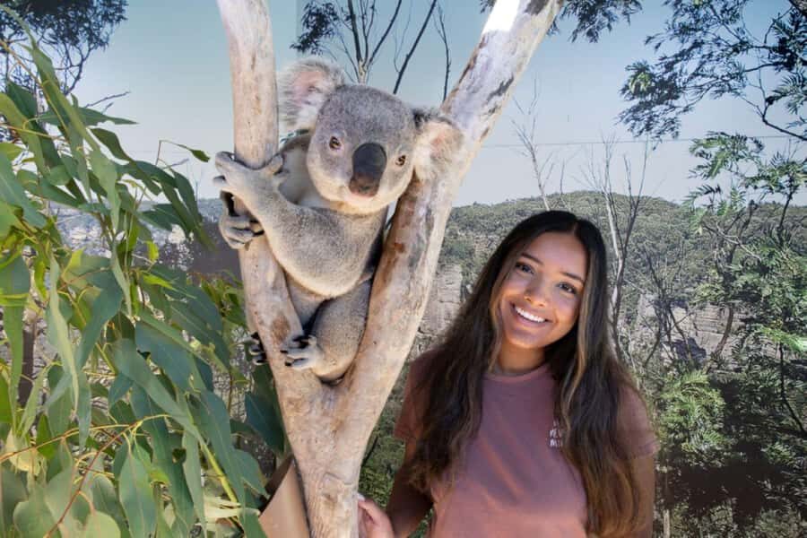 From Sydney: Blue Mountains Day Tour & Hop-on, Hop-off Tour - Central Station start time: the easiest way to avoid stress