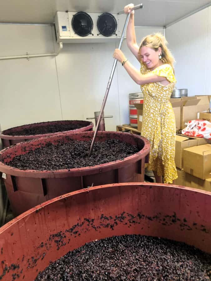 From Sydney: Hunter Valley Wine, Gin & Food Tastings Tour - Pickup, timing, and the real meaning of a 690-minute tour