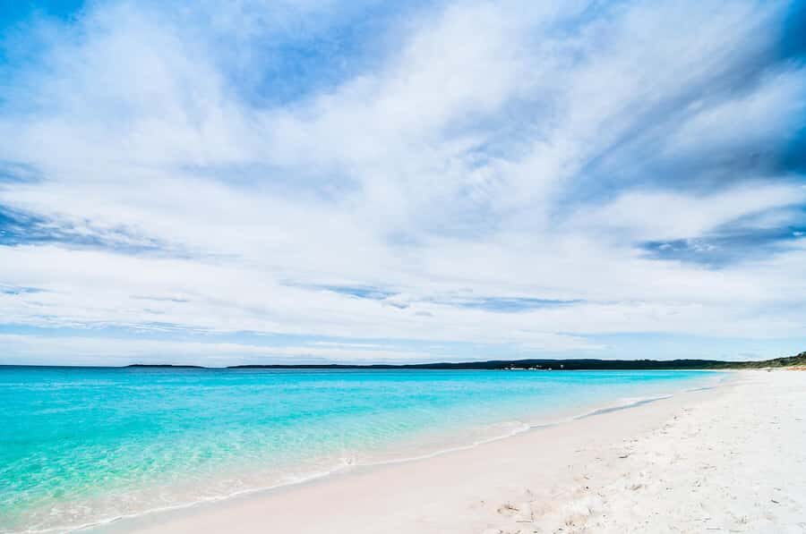 From Sydney: Jervis Bay Day Tour and Dolphin Watching Cruise - Cave Beach in Booderee National Park: kangaroos and sea-air wildlife