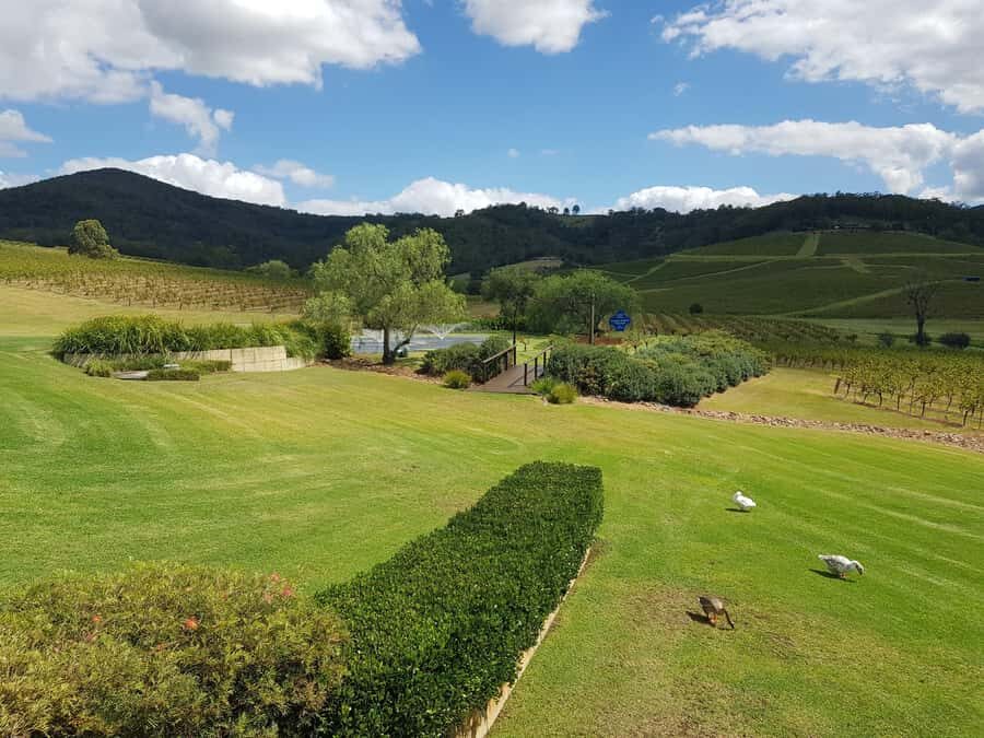 From Sydney: Luxury Hunter Valley Private Tour - Key points to know before you go