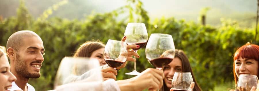 From Sydney: Luxury Hunter Valley Private Tour - The practical flow of the day (so you can enjoy it)