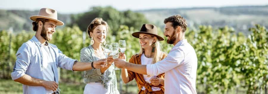 From Sydney: Luxury Hunter Valley Private Tour - The ride out of Sydney: North-Connex, Hawkesbury River, and Wollombi