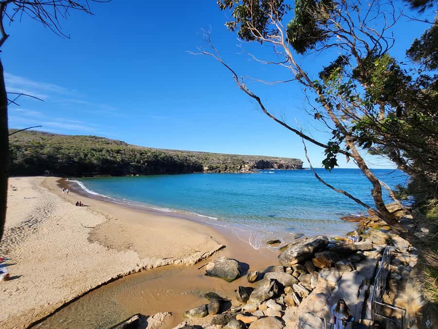 From Sydney: Royal National Park, Wollongong, and Kiama Tour - Key highlights worth marking in your calendar