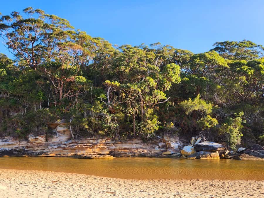 From Sydney: Royal National Park, Wollongong, and Kiama Tour - Bald Hill Lookout and the Sea Cliff Bridge viewpoint: quick stops, big payoff
