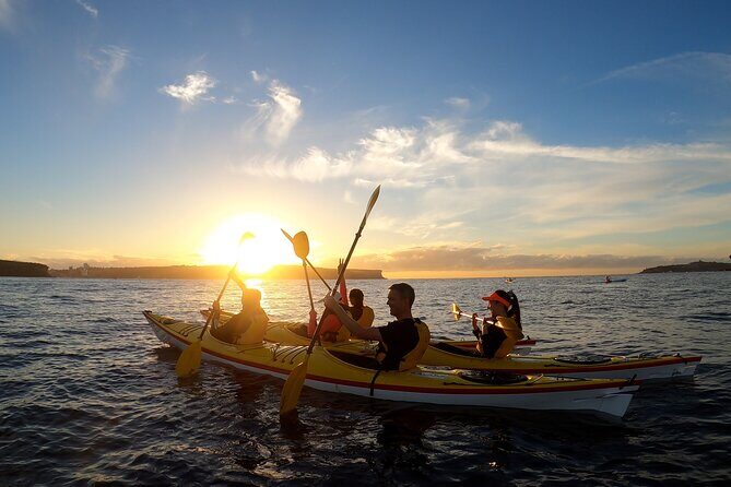 Guided Snorkeling Experience in Bondi - Species Spotting in Bondi: What Makes This Tour Fun