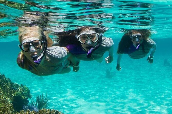 Guided Snorkeling Experience in Bondi - How They Choose the Snorkel Spots Around Bondi