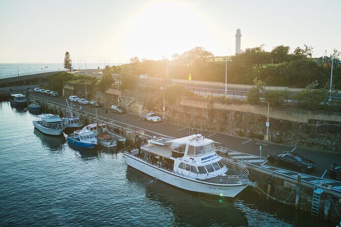 Half-Day Deep Sea Fishing in Wollongong - Weekdays only - Where you fish: Stanwell Park to Shellharbour, inshore to 10Nm