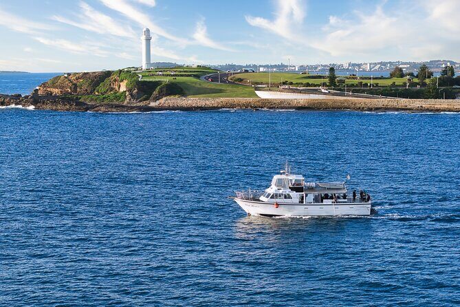 Half-Day Deep Sea Fishing in Wollongong - Weekdays only - 60ft Conquest at 6:00am: what your morning is really like