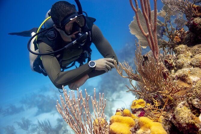 Half-Day Private Discover Dive at Australia's Iconic Beach - PADI Discover Scuba: the one-day lesson that reduces pressure