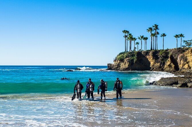 Half-Day Private Discover Dive at Australia's Iconic Beach - The private ratio: why 2 people makes it feel calm