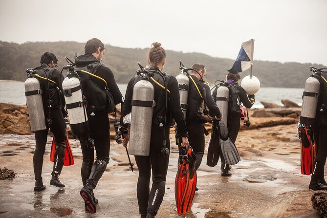 Half-Day Private Discover Dive at Australia's Iconic Beach - Value check: what $376.55 for two really buys