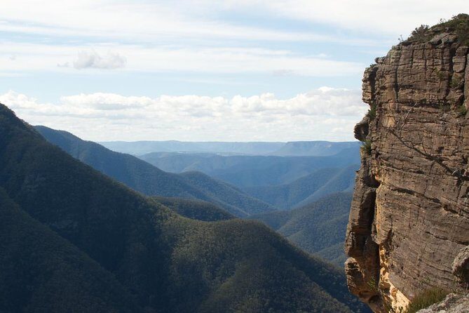 Inside the Greater Blue Mountains World Heritage - A Private Wildlife Safari Overnight - Key Things That Make This Private Safari Work