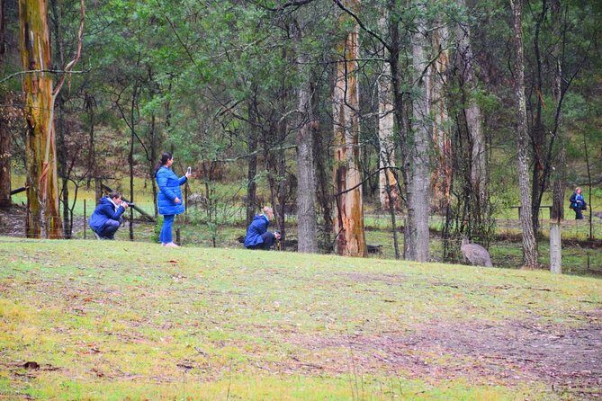 Inside the Greater Blue Mountains World Heritage - A Private Wildlife Safari Overnight - Overnight Part: Plan Your Lodging Carefully
