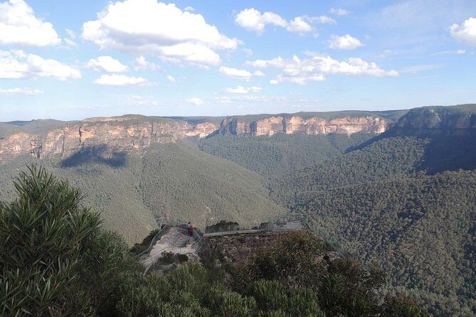 Inside the Greater Blue Mountains World Heritage - A Private Wildlife Safari Overnight - Day 2: Kanangra-Boyd Wilderness and the Long Road Home