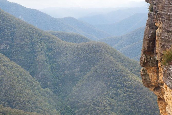 Inside the Greater Blue Mountains World Heritage - A Private Wildlife Safari Overnight - Logistics That Affect Your Day: Timing, Fitness, and the Mobile Ticket